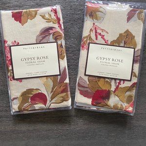 Pottery Barn Sham reversible